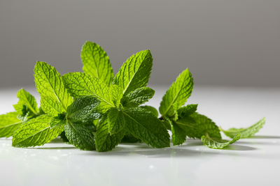 Mint leaves